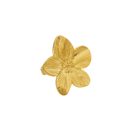 Anillo Hawaii