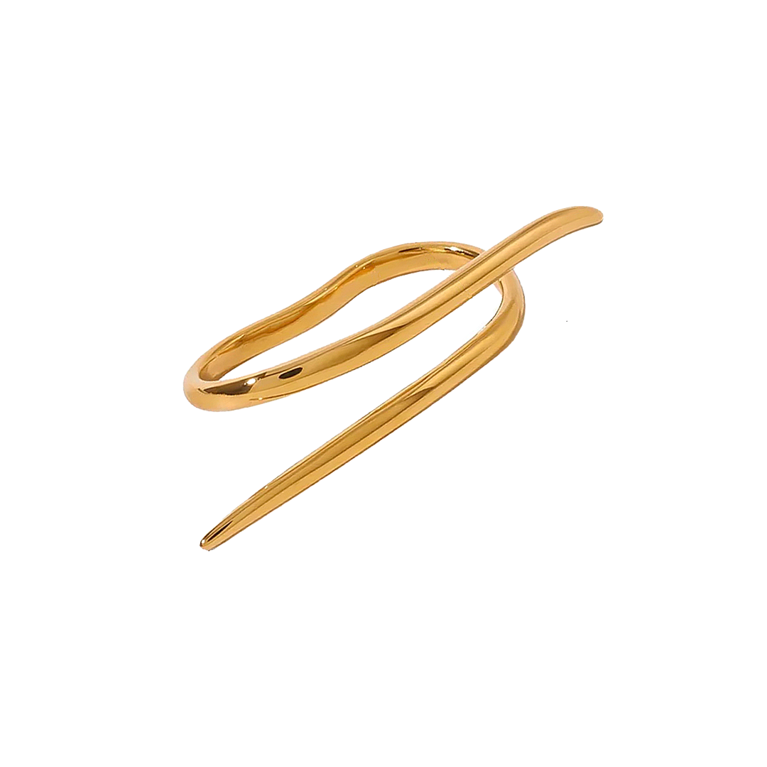 Anillo Unity