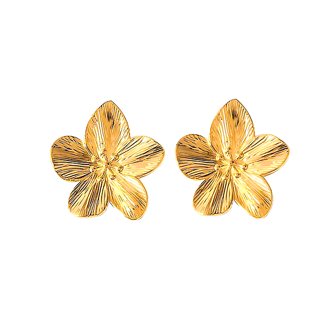 Aretes Hawaii