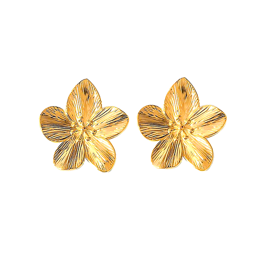 Aretes Hawaii